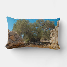 Olijftuinen van Lun Kussen