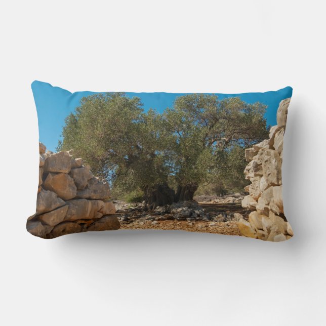 Olijftuinen van Lun Kussen (Voorkant)