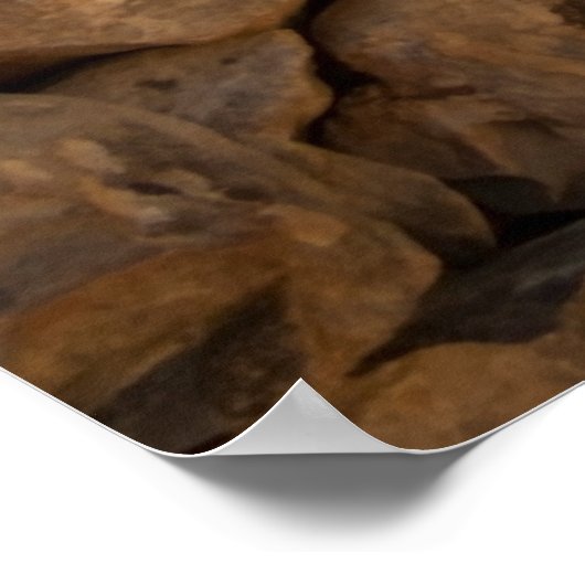 Olijftuinen van Lun Poster (Hoek)