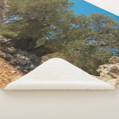 Olijftuinen van Lun Sherpa Deken (3/4)