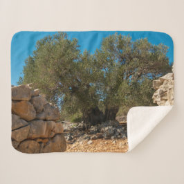 Olijftuinen van Lun Sherpa Deken