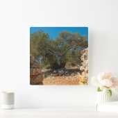 Olijftuinen van Lun Vierkante Klok (Huis)