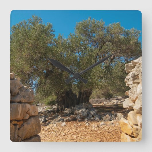 Olijftuinen van Lun Vierkante Klok (Voorkant)