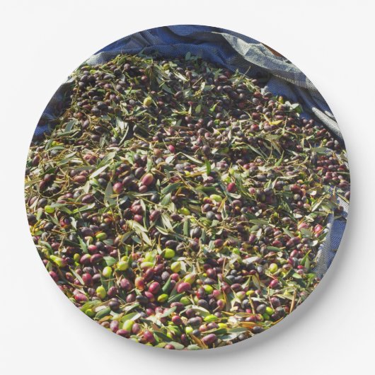 Olijven collectie papieren bordje (Voorkant)