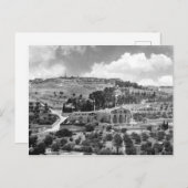 Olijven- en tuingethsemaan in Jeruzalem Briefkaart (Voorkant / Achterkant)