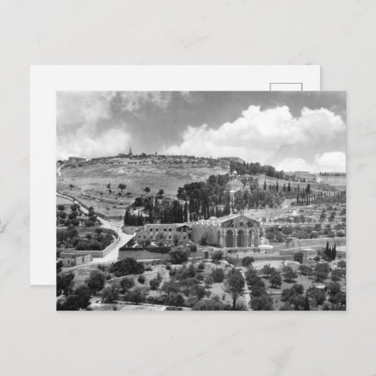 Olijven- en tuingethsemaan in Jeruzalem Briefkaart (Voorkant / Achterkant)