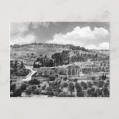 Olijven- en tuingethsemaan in Jeruzalem Briefkaart (Voorkant)
