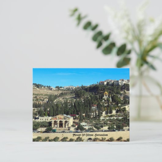 Olijven , Jeruzalem Feestdagenkaart (Staand voorkant)