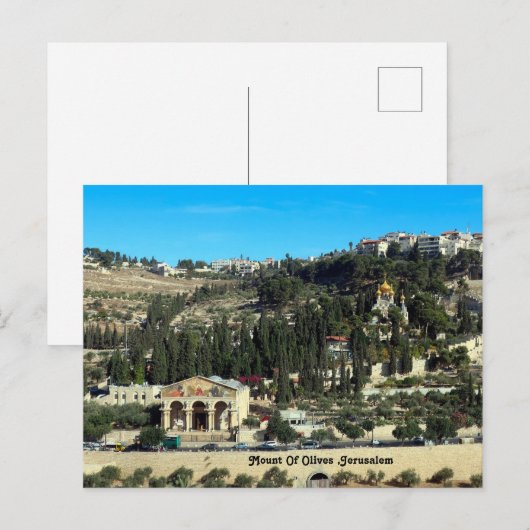 Olijven , Jeruzalem Feestdagenkaart (Voorkant / Achterkant)