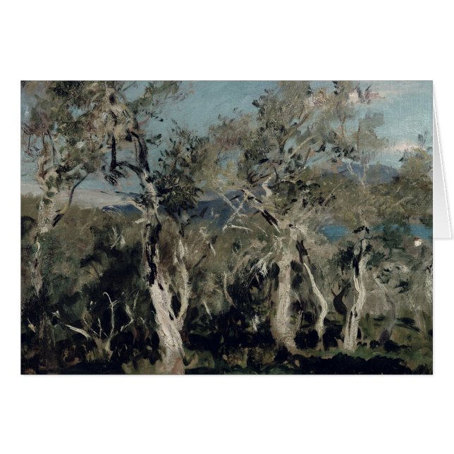 Olijven, Korfoe, 1912 (Voorkant Horizontaal)