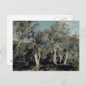 Olijven, Korfoe, 1912 Briefkaart (Voorkant / Achterkant)