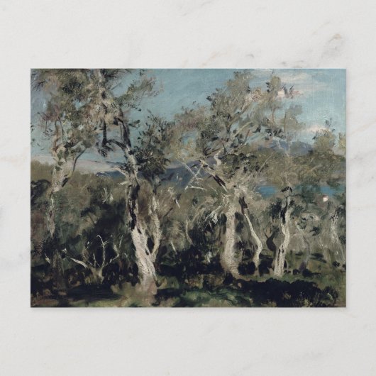 Olijven, Korfoe, 1912 Briefkaart (Voorkant)