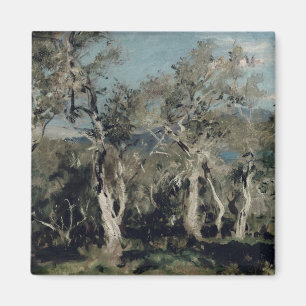 Olijven, Korfoe, 1912 Magneet