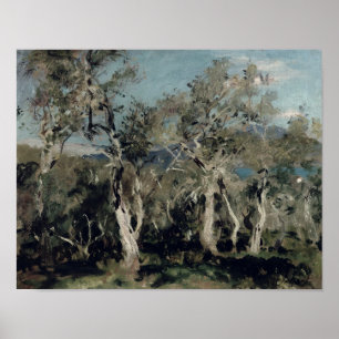 Olijven, Korfoe, 1912 Poster