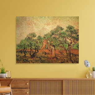 Olijven plukken door Vincent van Gogh Canvas Afdruk