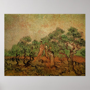 Olijven plukken door Vincent van Gogh Poster