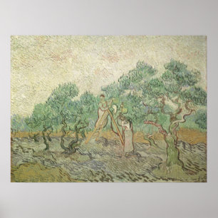 Olijven plukken door Vincent van Gogh, Vintage Kun Poster