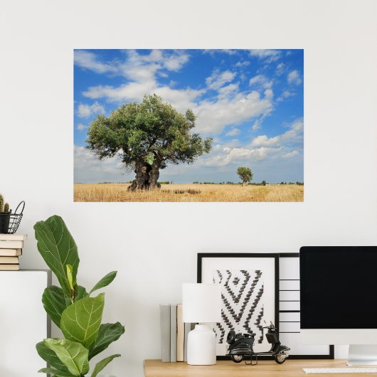 Olijven Poster (Thuiskantoor)