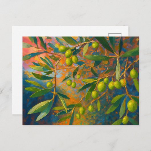  olijven Toscane Italië Retro Europa Reizen Briefkaart (Voorkant / Achterkant)