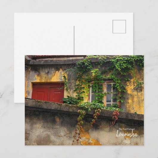 Olijven van bomen — Briefkaart van Lourinha — Port (Voorkant / Achterkant)