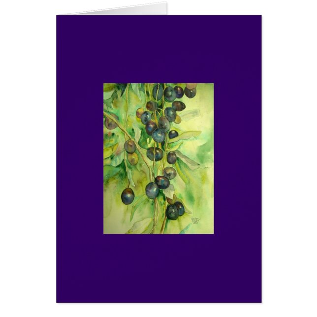 olijven, zomer, zon, (Voorkant)