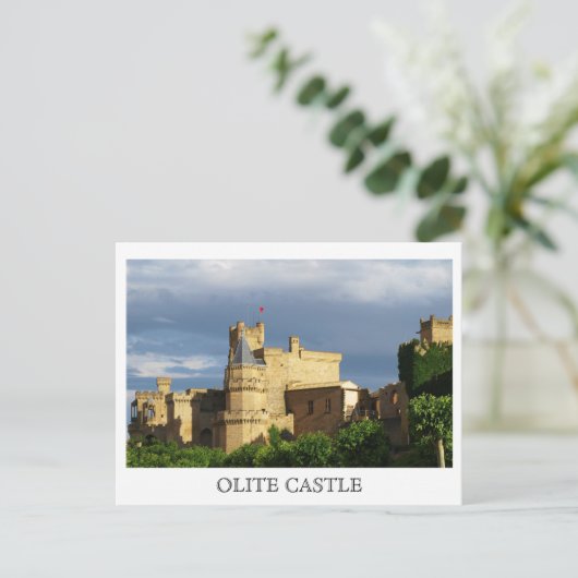 Olite Castle Briefkaart (Staand voorkant)
