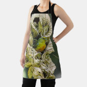 Olive Backed Euphonia, Belize Bird Schort (Insitu)