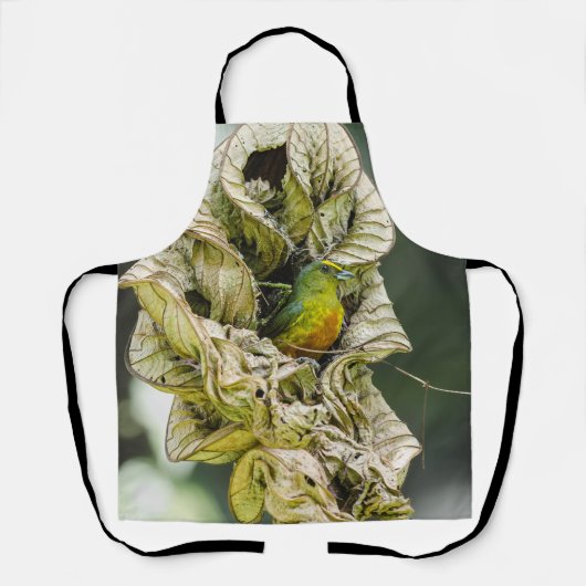 Olive Backed Euphonia, Belize Bird Schort (Voorkant)