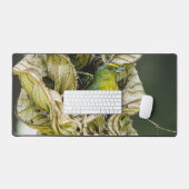 Olive Backed Euphonia, Wildlife Avian Photography Bureaumat (Keyboard & Muis)