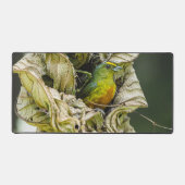 Olive Backed Euphonia, Wildlife Avian Photography Bureaumat (Voorkant)