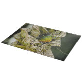 Olive Backed Euphonia, Wildlife Avian Photography Snijplank (Hoek)