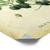 Olive Branch no. 11 Farmhouse Wall Decor Poster (Hoek)