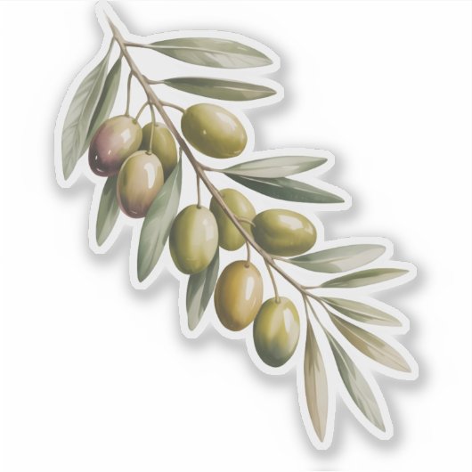 Olive branch sticker (Voorkant)
