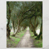 Olive Garden Flyer (Voorkant)