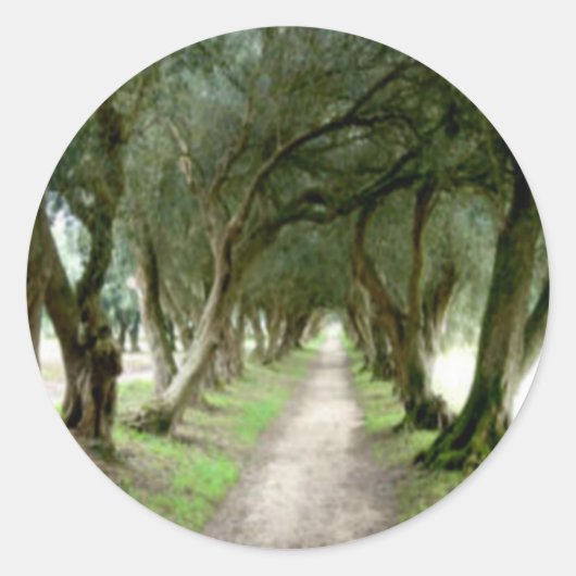 Olive Garden Stickers (Voorkant)