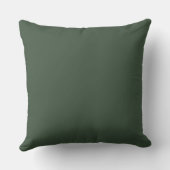 Olive Green Ticking Stripe Cushion Kussen (Achterkant)