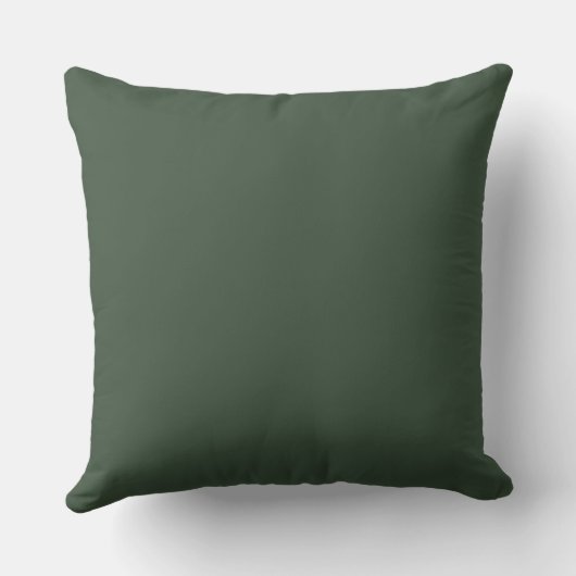 Olive Green Ticking Stripe Cushion Kussen (Achterkant)