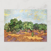 Olive Grove Bleek Blue Sky Vincent van Gogh Briefkaart (Voorkant)