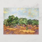 Olive Grove Bleek Blue Sky Vincent van Gogh Briefkaart (Voorkant)