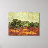 Olive Grove, Bleke blauwe hemel van Vincent van Go Canvas Afdruk (Voorkant)