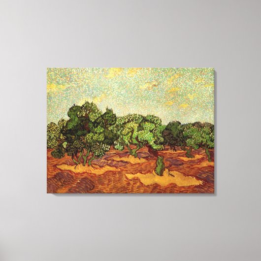 Olive Grove, Bleke blauwe hemel van Vincent van Go Canvas Afdruk (Voorkant)