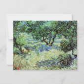 Olive Grove by Vincent van Gogh (Voorkant)