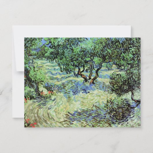 Olive Grove by Vincent van Gogh (Voorkant)