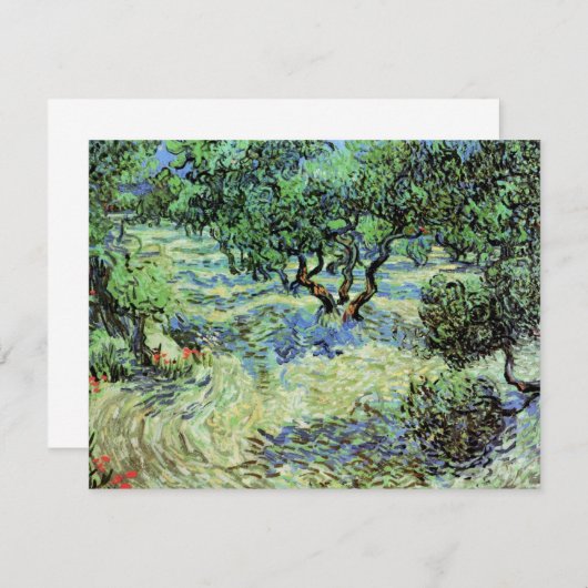 Olive Grove by Vincent van Gogh (Voorkant / Achterkant)