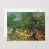 Olive Grove by Vincent van Gogh Briefkaart (Voorkant / Achterkant)