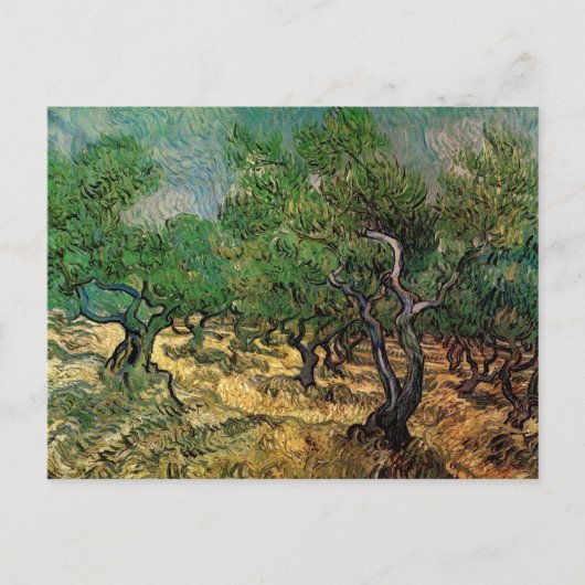 Olive Grove by Vincent van Gogh Briefkaart (Voorkant)