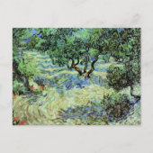 Olive Grove by Vincent van Gogh Briefkaart (Voorkant)