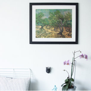 Olive Grove by Vincent van Gogh, Fine Art Poster
