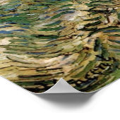 Olive Grove by Vincent van Gogh Poster (Hoek)