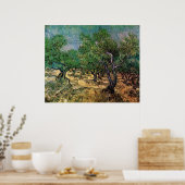 Olive Grove by Vincent van Gogh Poster (Keuken)